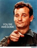 Bill-Murray-Youre-Awesome1.jpg