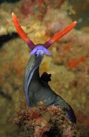 IMG_5866_outta-focus.jpg