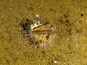 Photos-51a2b9f3.jpg