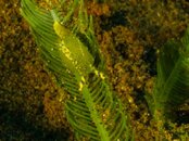 Photos-51a6c7a3.jpg