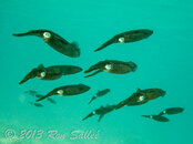 IMG_3267-2.jpg