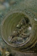 BHB-201312224943.jpg