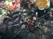 M0010426.jpg