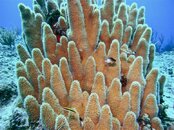 M0010444.jpg