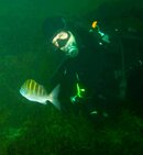 Diver w. Graybar Grunt - Web.jpg