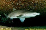 Aus_09_Aug_MP_1057-Edit.jpg