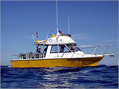 Sandy's Boat web.jpg