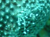 M0010855.jpg