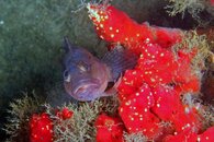 IMG_9359wa.jpg