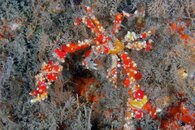 IMG_9280wa.jpg