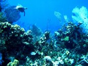 M0010634.jpg