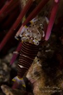 BHB-201401115158.jpg