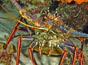 IMG_1068.jpg