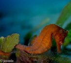 DSC04052.jpg