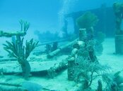 explore scuba.jpg