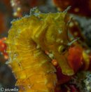 DSC04095.jpg