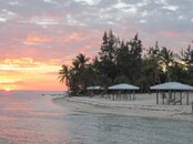IMG_1618.jpg