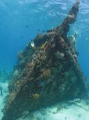 IMG_3498SB.jpg