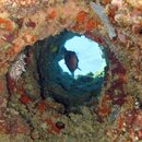 IMG_3562SB.jpg