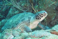 IMG_3746SB.jpg