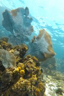 20131231-2.jpg