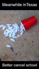 iceytexasroads.jpg