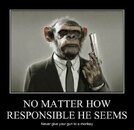 monkey.jpg