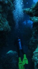 IMG_1555.jpg