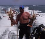 2lobstersxxx.jpg