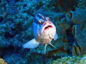 IMG_0782.jpg