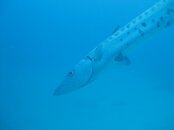 IMG_7591.jpg