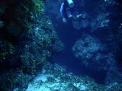 M0012335.jpg