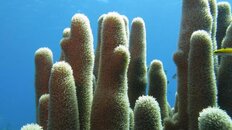 IMG_1638.jpg