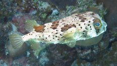 IMG_1653.jpg
