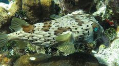 IMG_1657.jpg