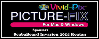 vivid-pix banner.jpg vivid-pix banner.jpg