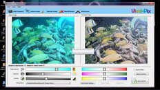 Vivid-Pix 2.jpg