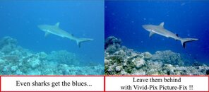 The blues.jpg