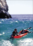 halcyon-divers-life-raft-500x681.jpg