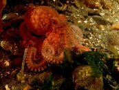 5-DSC00477.jpg