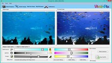 GA Aquarium.jpg