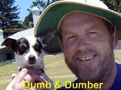 Dumb_andDumber_550w_opt6.jpg