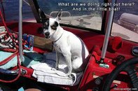 080410_Penny_LittleBoat_550w_opt8ADV.jpg