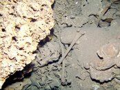 5 Dive-08.jpg