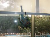 DSC02995 (Medium).JPG