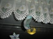 DSC03836 (Medium).JPG