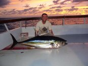 tuna2.JPG