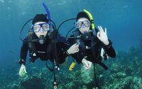 Cod in the Bahamas.jpg