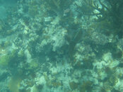 IMG_5894b.jpg