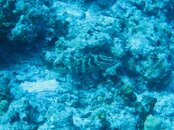 IMG_6006b.jpg